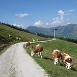 Künstlhäusl Jochberg